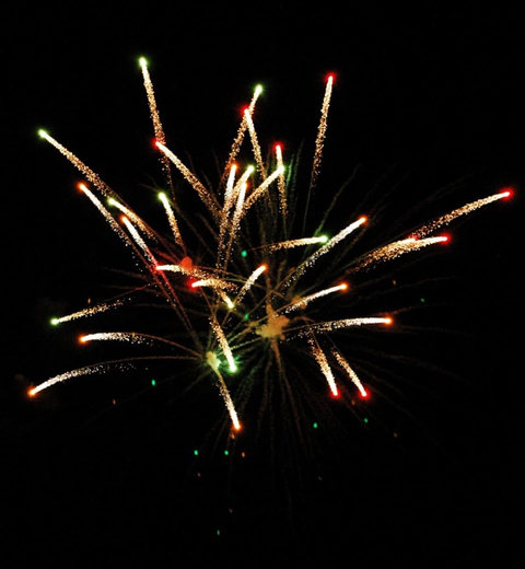 Colorful fireworks bursting in the night sky.